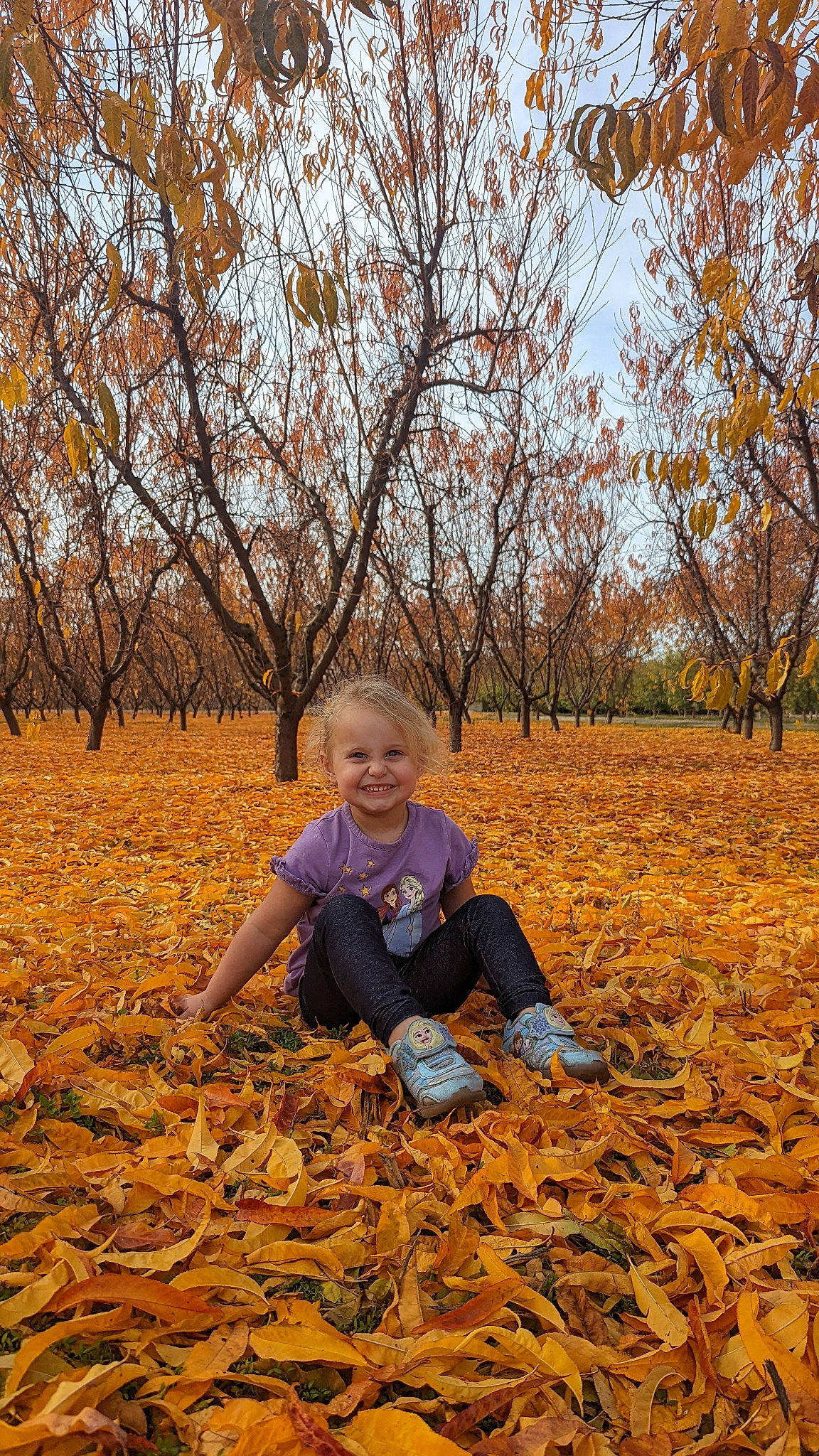 Wendy joined the competition — help win amazing prizes! baby_toddler_clothing, child, deciduous, forest, grass, happy, joy, leisure, natural_landscape, people_in_nature, person, plant, playing_with_kids, sky, smile, soil, toddler, tree, trunk, twig