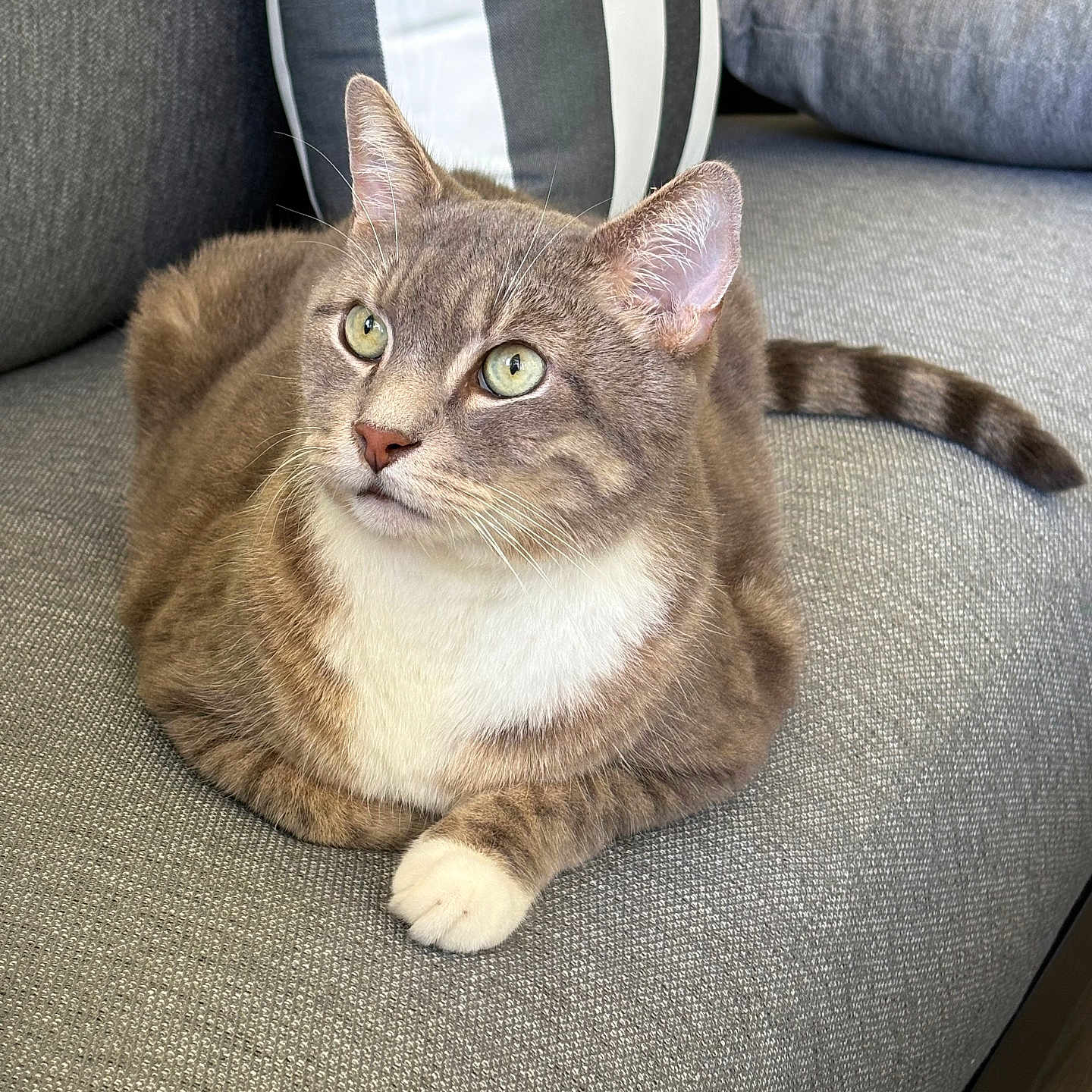 Sammy