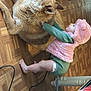 toddler, dog, floor, water_bottles, pink_hood, green_clothing, wooden_floor, indoor, pet, child, animal, curious, home, playful, fur, diaper, cable, table_leg, packaging, flooring