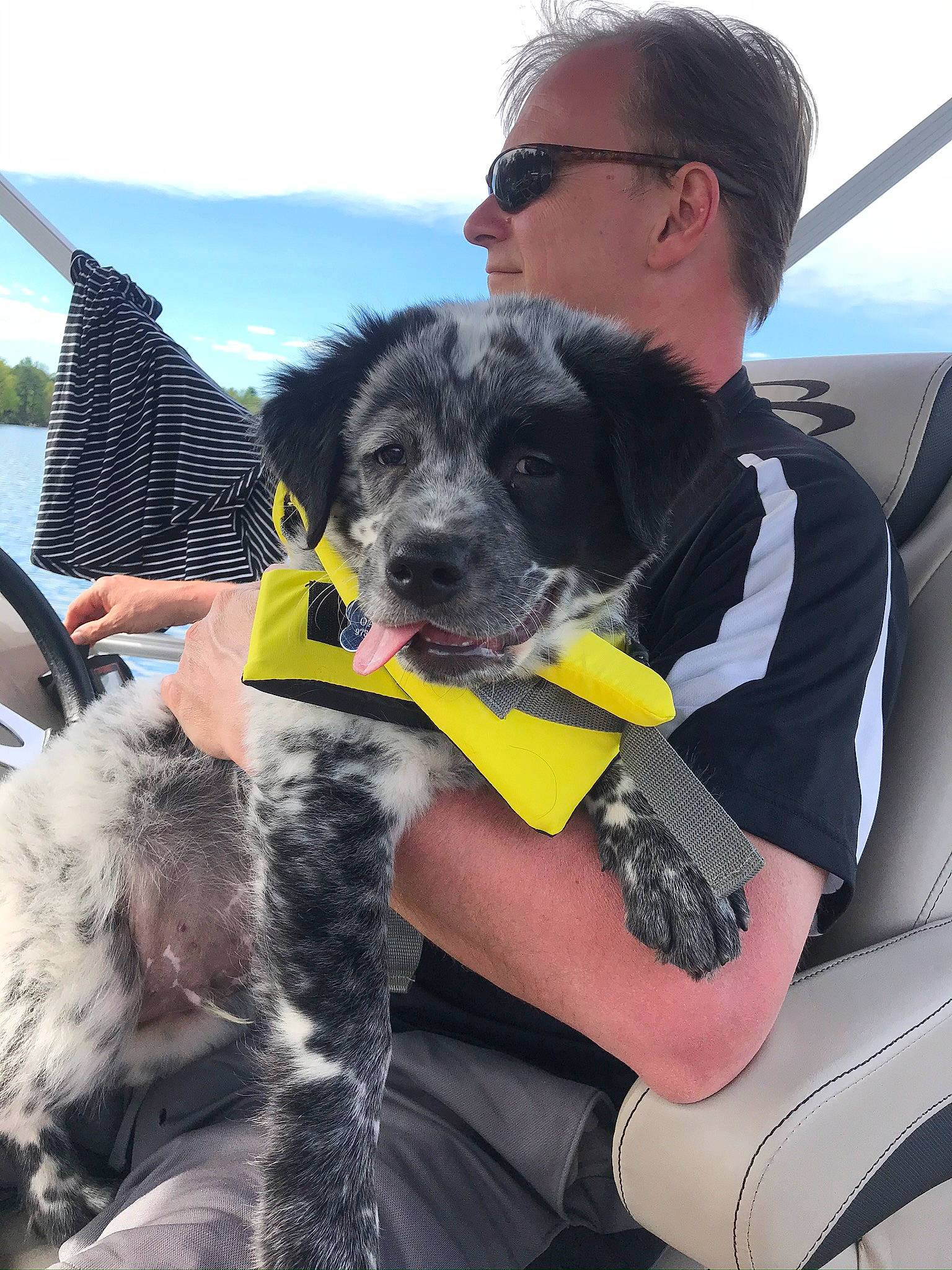 Oakley is registered to the contest to win money with this photo: adventure, boat, canidae, carnivore, cloud, companion_dog, dog, dog_breed, eyewear, fur, leisure, personal_protective_equipment, recreation, sky, sporting_group, sunglasses, travel, vehicle, watercraft, working_animal