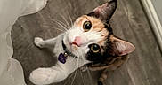 Nova Ramirez is registered to the contest to win money with this photo: