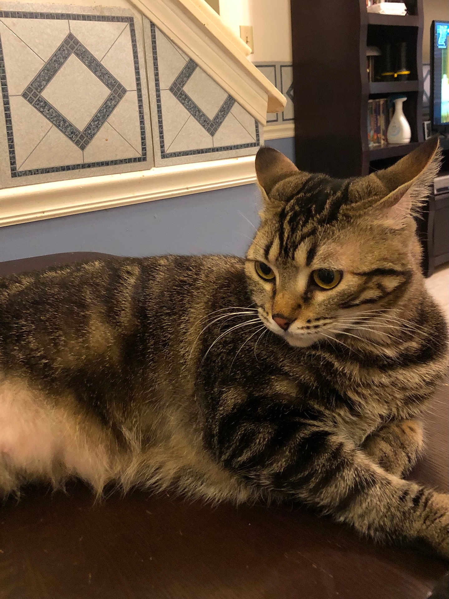 Indie
