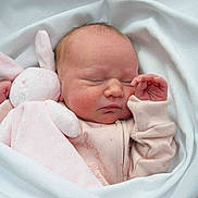 Emie-Grace is registered to the contest to win money with this photo: newborn, baby, sleeping, blanket, plush, pink, soft, cuddly, infant, cute, peaceful, wrapped, child, toy, cozy, face, hand, gentle, resting, bed