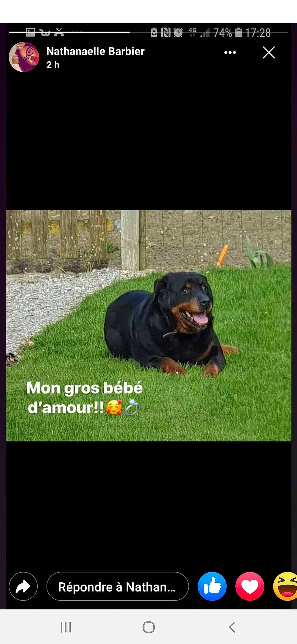 Emy