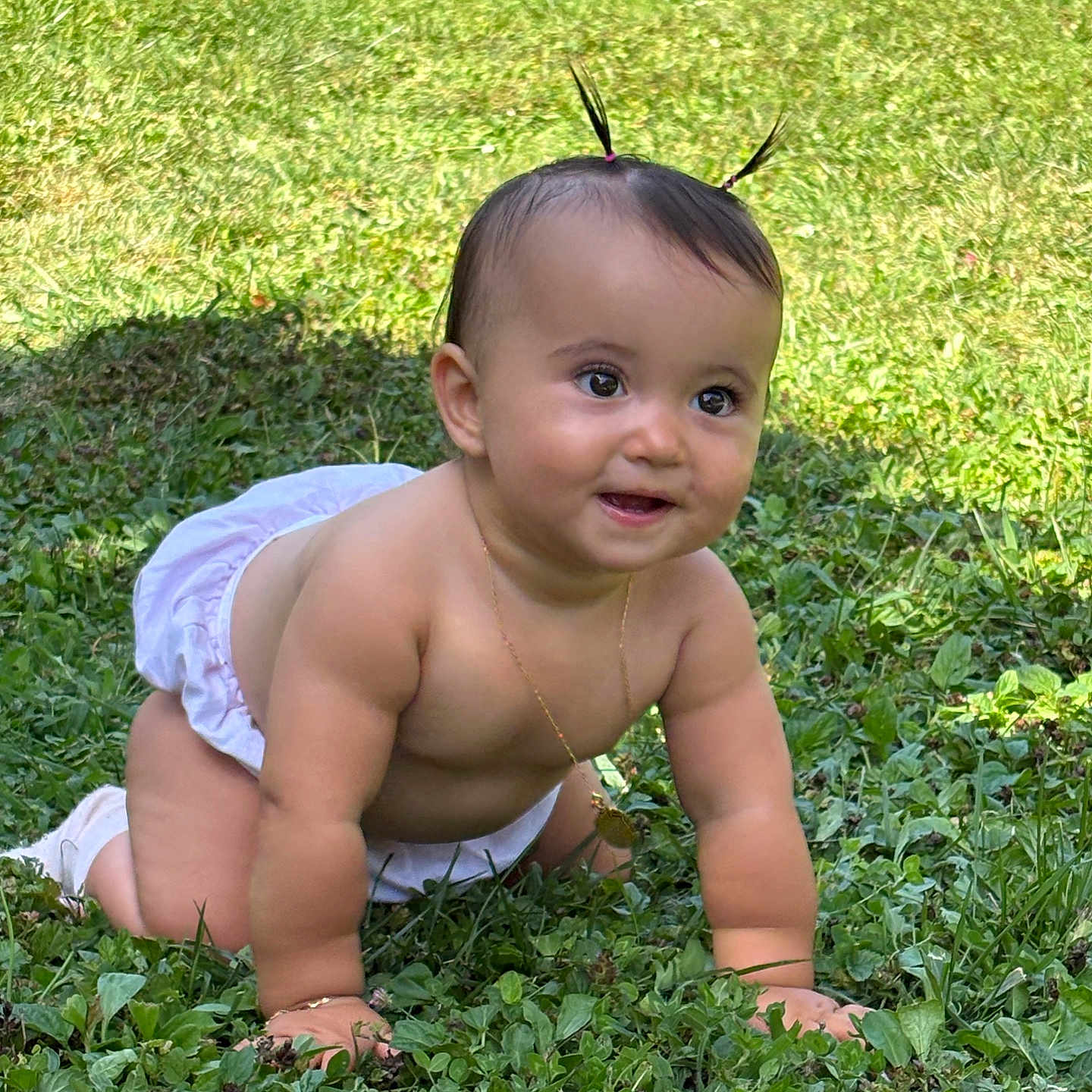 Soléya participe au concours pour gagner de l'argent avec cette photo : baby, child, crawling, cute, grass, greenery, happy, infant, nature, necklace, outdoor, person, pigtails, playful, skin, smiling, summer, sunlight, toddler, young