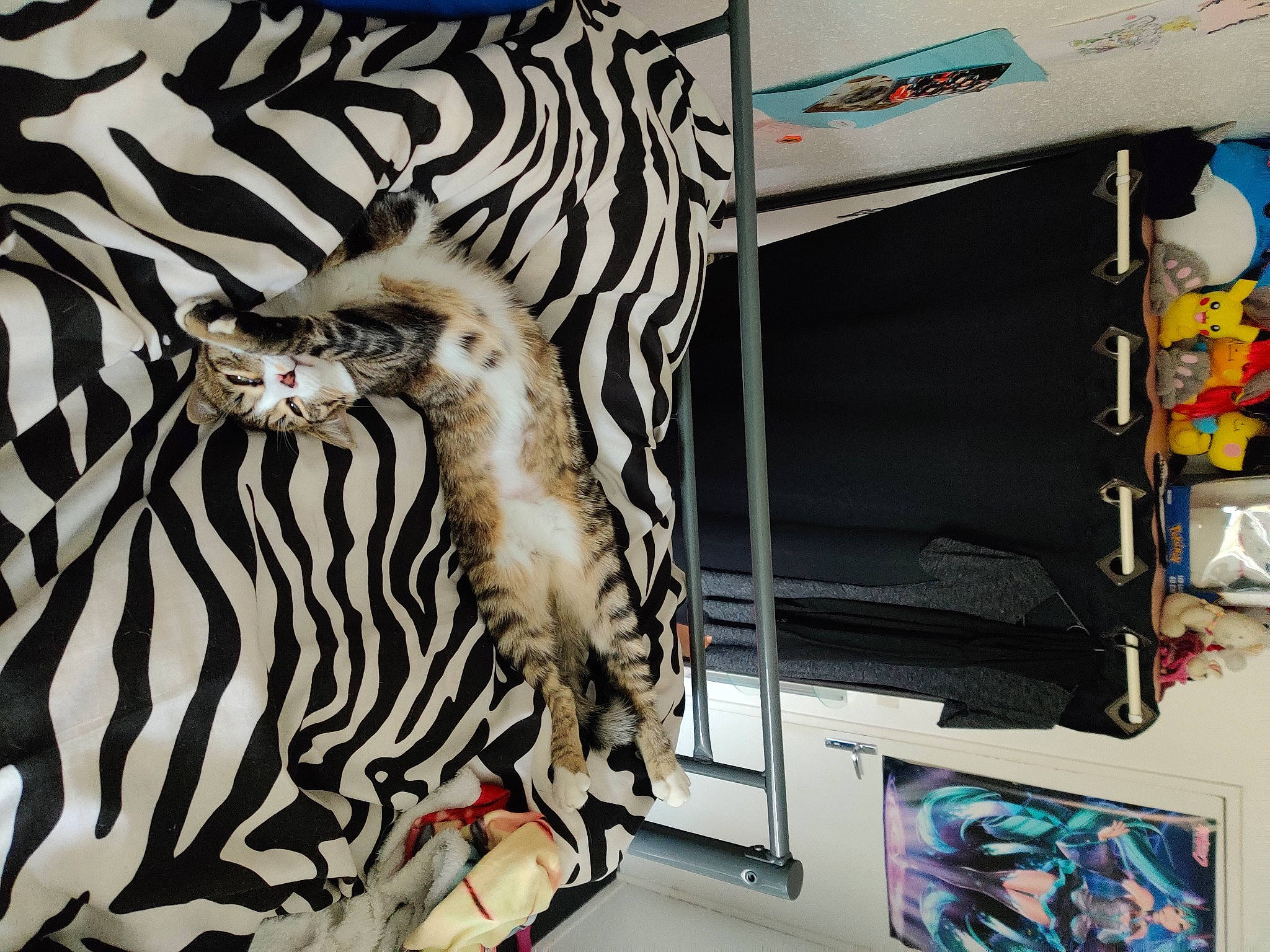 Sun participe au concours pour gagner de l'argent avec cette photo : art, automotive_design, beak, bird, feather, felidae, font, fur, graffiti, graphics, illustration, metal, painting, pattern, room, textile, visual_arts, wall, wildlife, wing