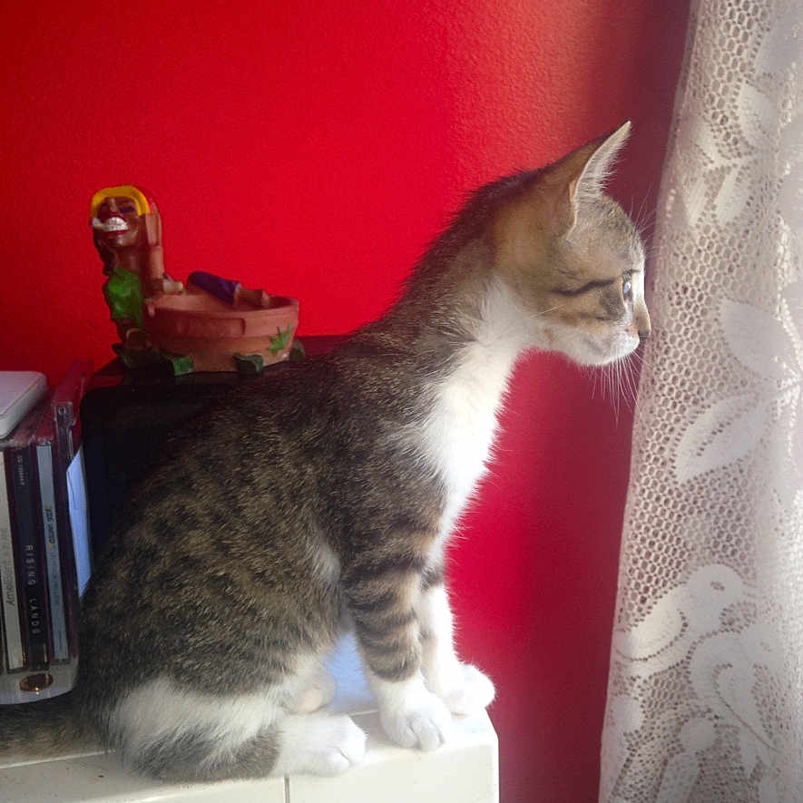 Luna