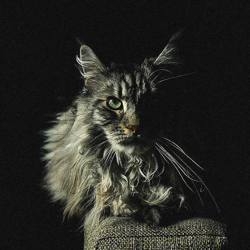Odin