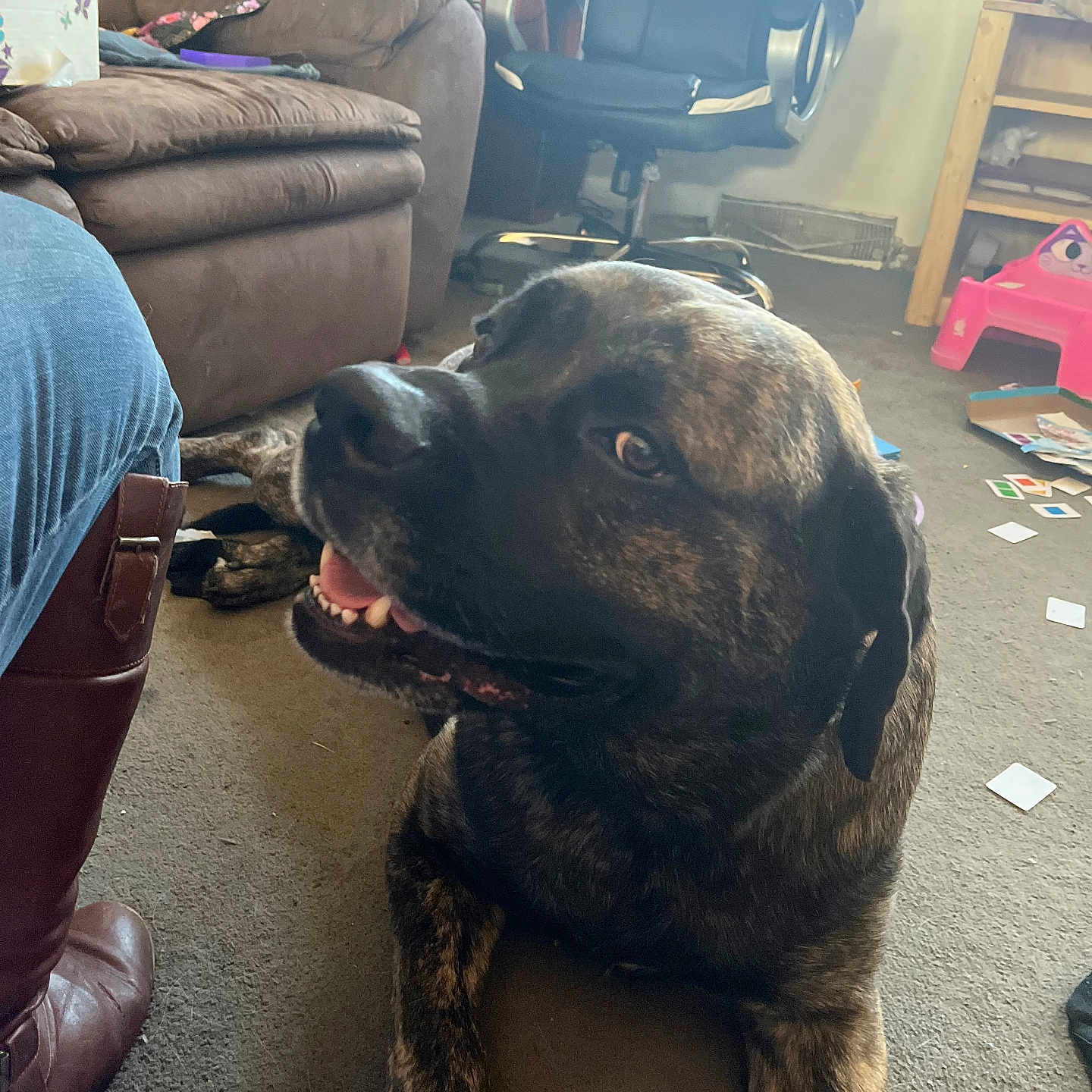 Odin