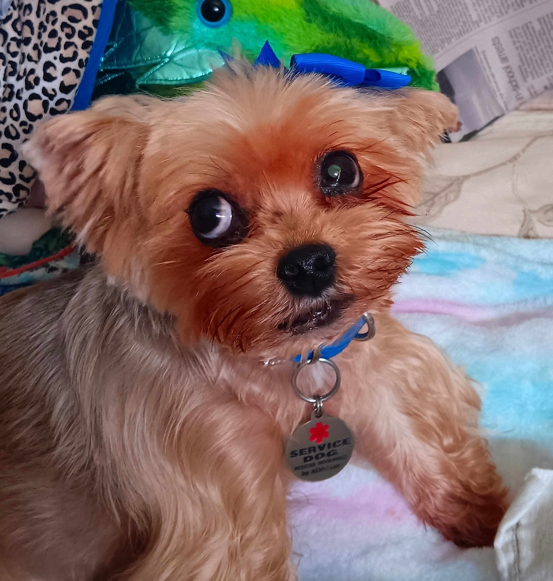 Chloe