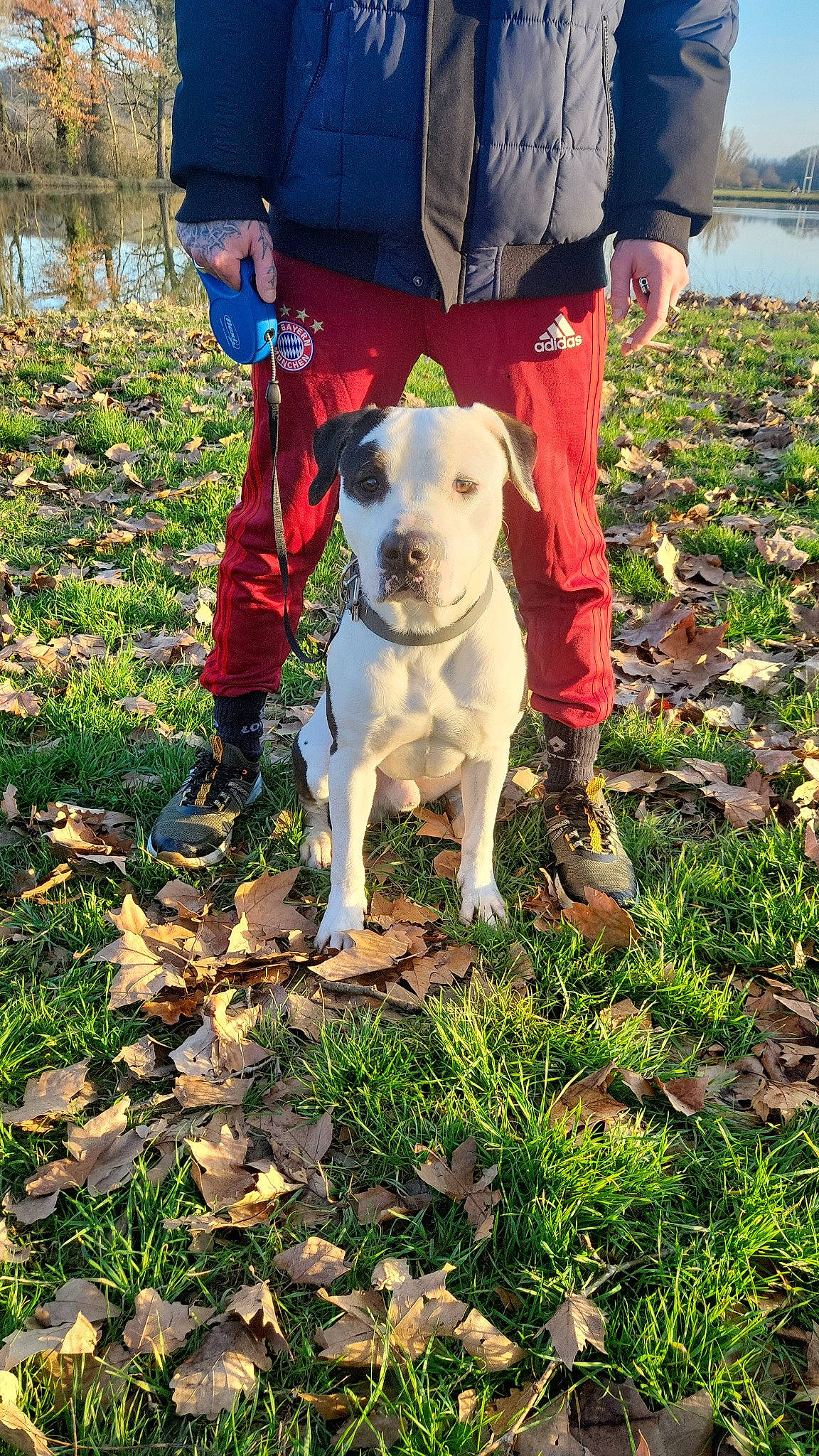 Thanos participe au concours pour gagner de l'argent avec cette photo : adventure, canidae, carnivore, collar, companion_dog, dog, dog_breed, dog_collar, dog_walking, fawn, grass, groundcover, leash, non_sporting_group, people_in_nature, plant, snout, soil, tail, working_animal