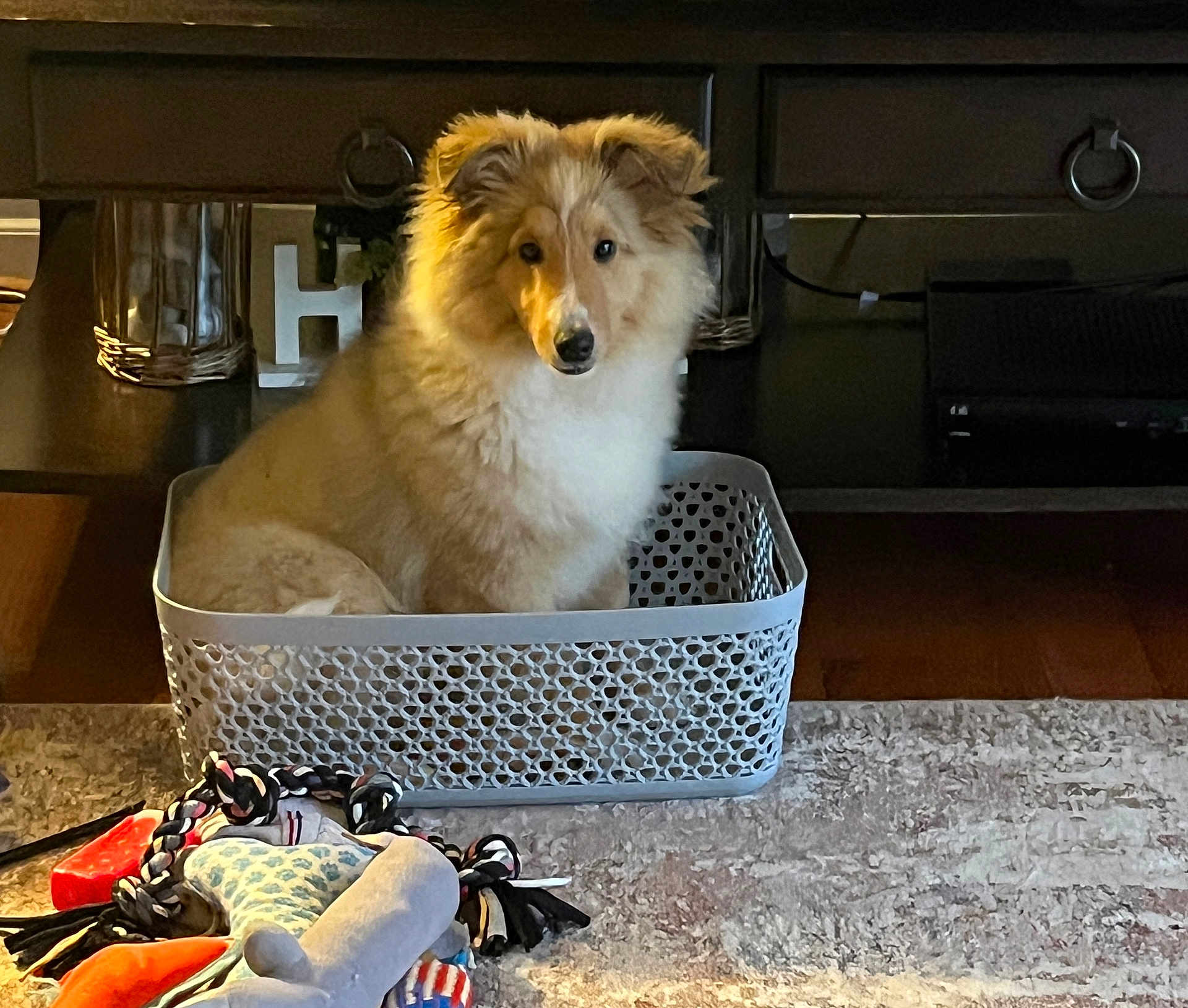 Cyrus