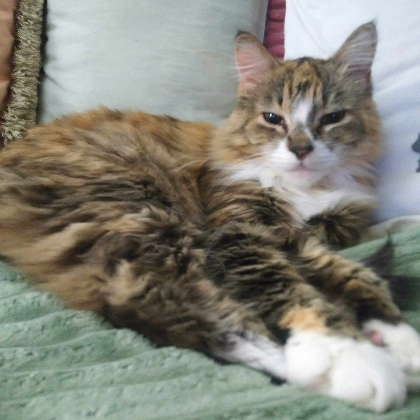 Bootsy