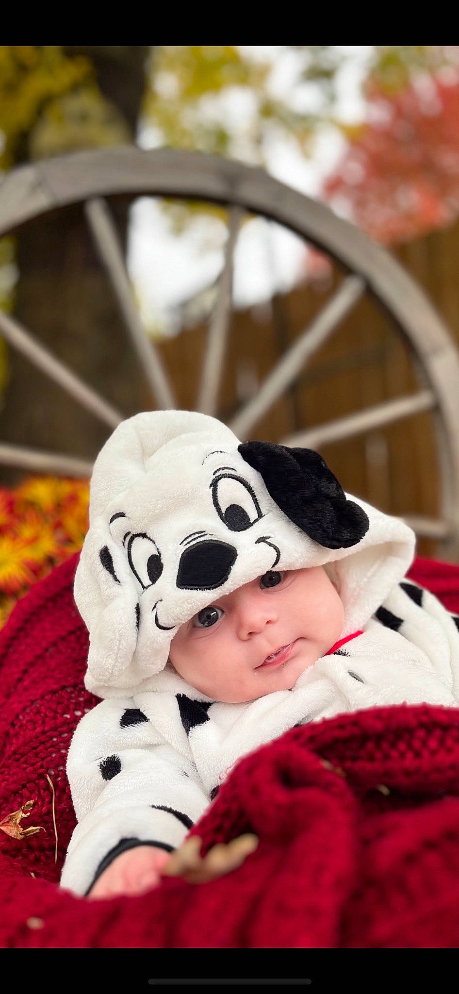 Adam is registered to the contest to win money with this photo: automotive_wheel_system, beanie, bicycle_tire, bicycle_wheel, cap, carmine, fun, fur, happy, headwear, knit_cap, leisure, pattern, person, recreation, rim, smile, spoke, tire, toddler