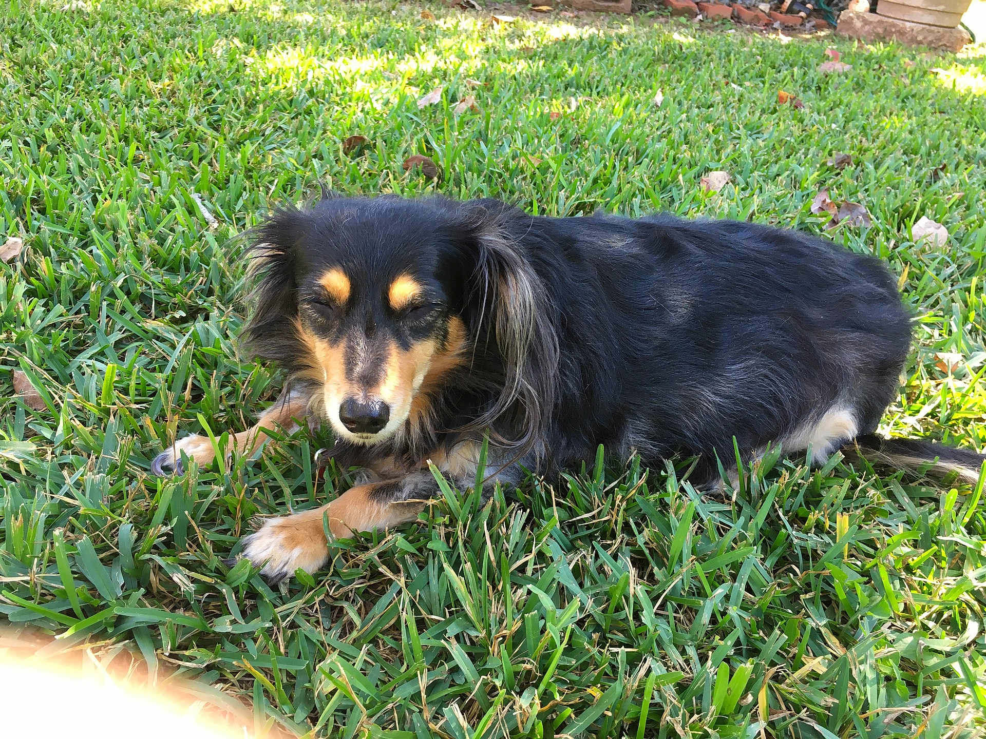 Max