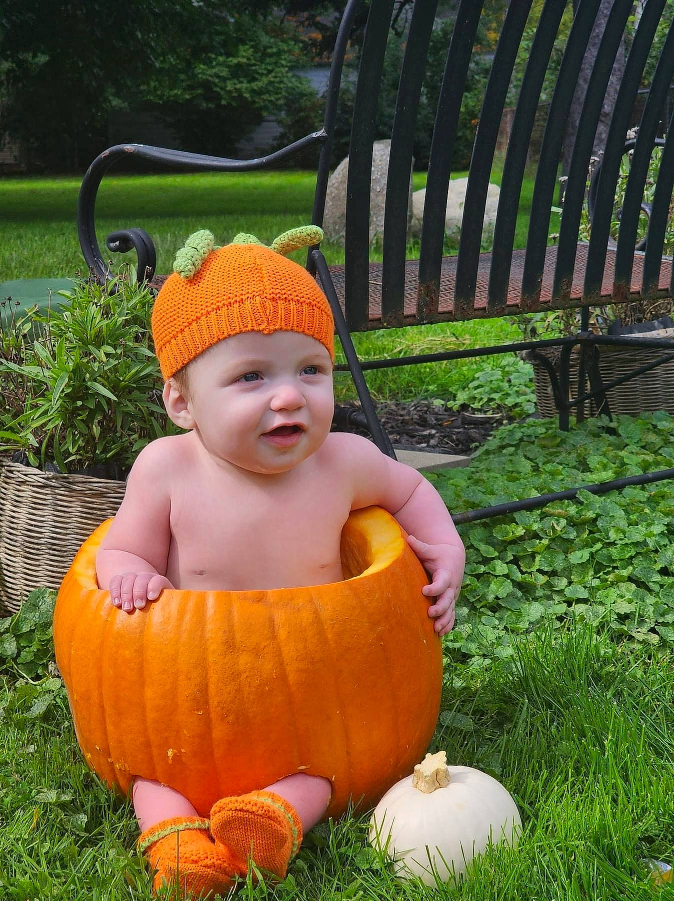 Parker joined the competition — help win amazing prizes! baby, baby_toddler_clothing, botany, calabaza, chair, grass, happy, head, headwear, human_body, lawn, leisure, outdoor_furniture, people_in_nature, person, plant, pumpkin, smile, toddler, tree