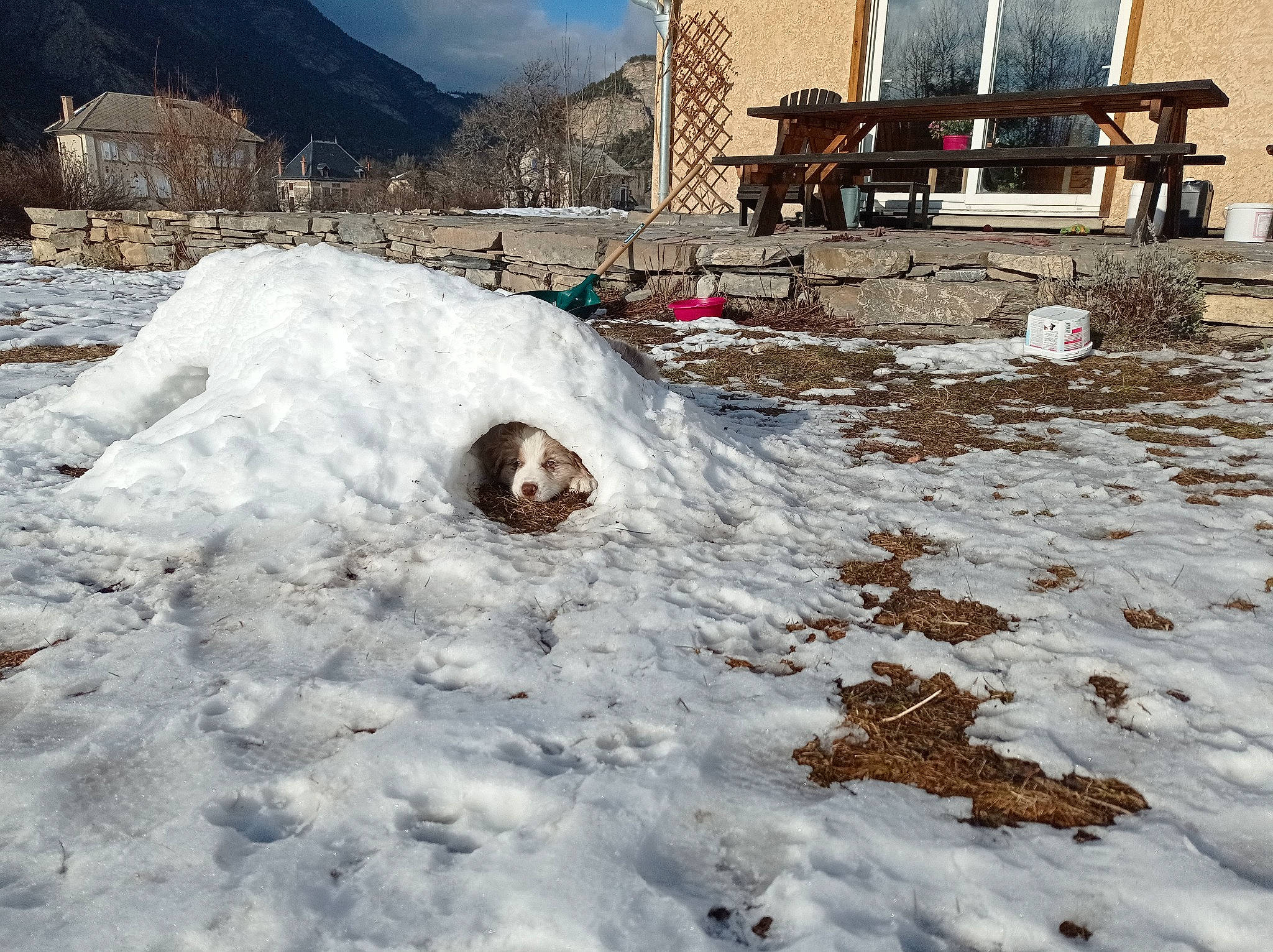 Jockey a rejoint le concours — aidez-le/la à gagner de superbes lots ! asphalt, automotive_tire, biome, event, freezing, frost, geological_phenomenon, grass, home, ice_cap, landscape, road_surface, rock, sky, slope, snow, soil, tree, winter, wood