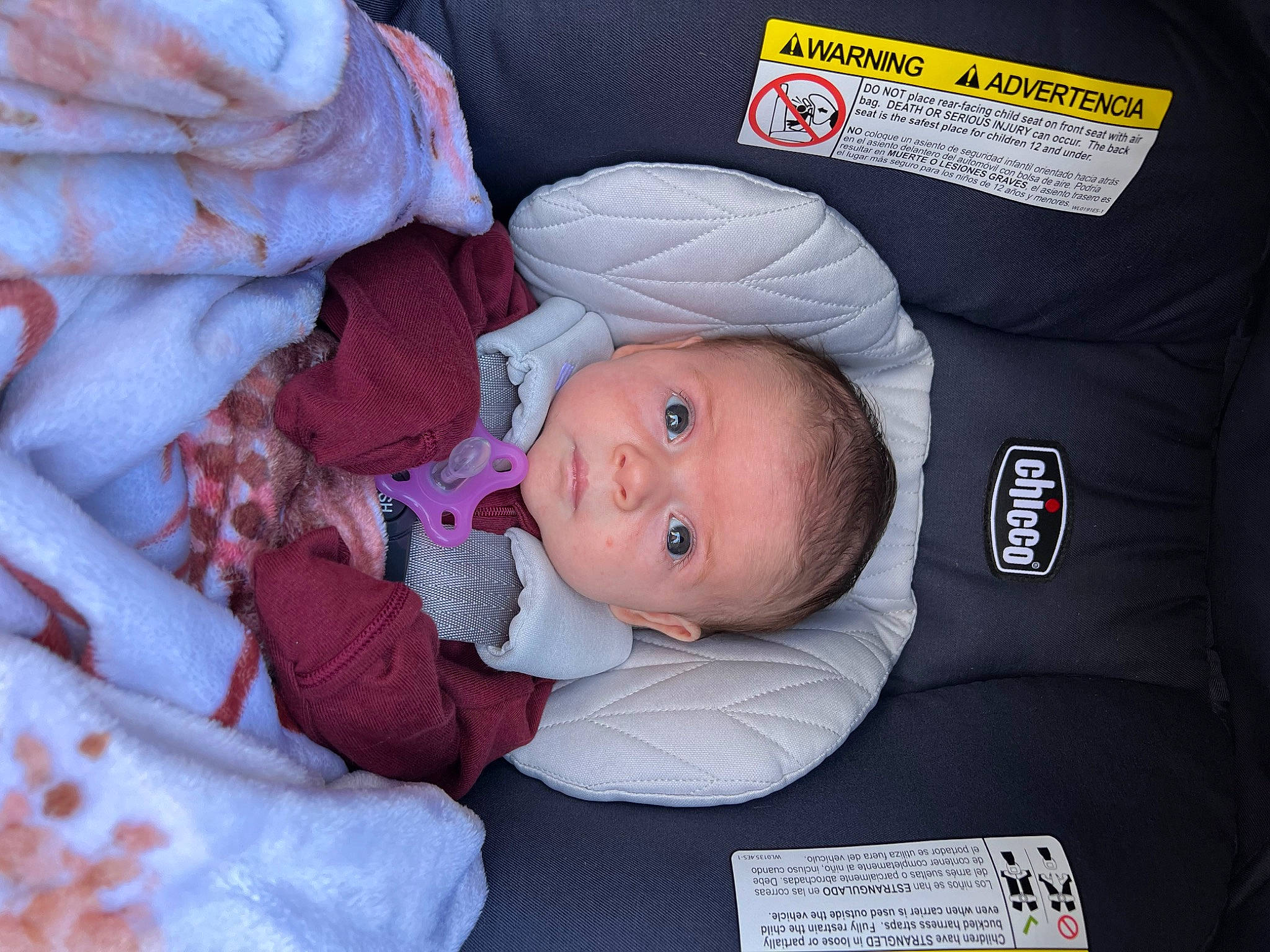 Alora is registered to the contest to win money with this photo: baby, baby_carriage, baby_products, baby_safety, baby_toddler_clothing, car_seat, carmine, child, comfort, head, linens, magenta, nap, person, product, sleep, toddler
