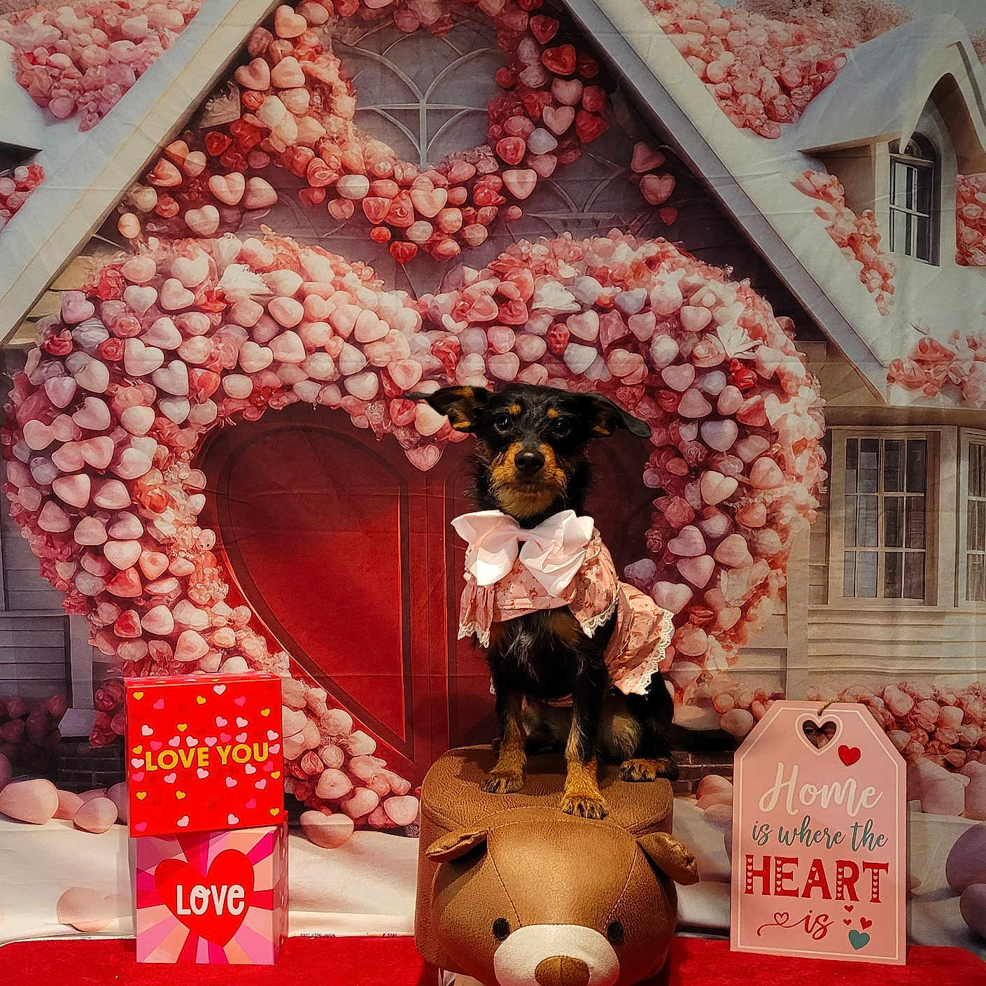 Bashful joined the competition — help win amazing prizes! art, building, carmine, christmas_decoration, decoration, event, flower, house, leisure, lighting, orange, peach, pink, plant, recreation, red, room, toy, tree, window