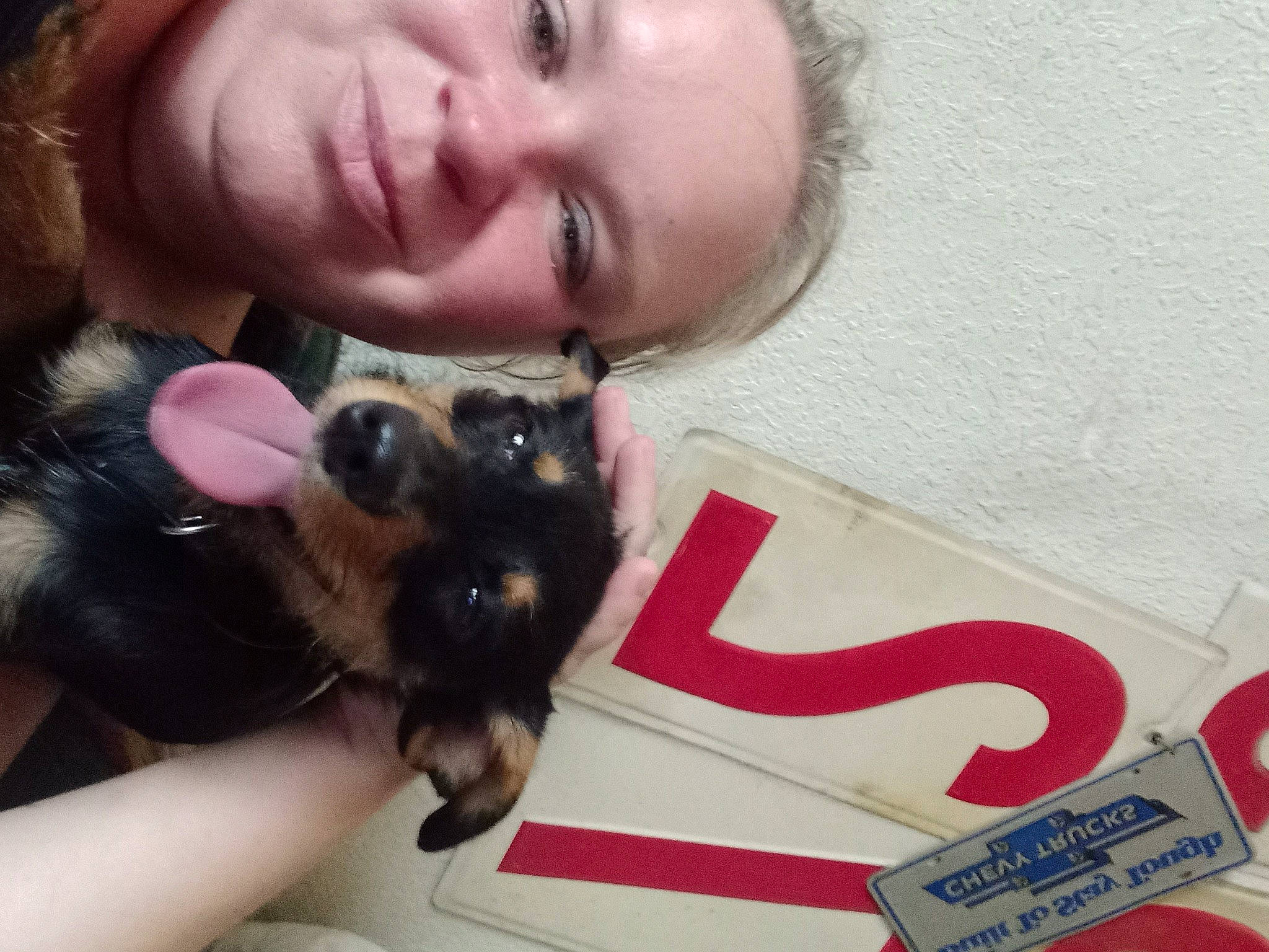 Bashful is registered to the contest to win money with this photo: audio_equipment, carnivore, companion_dog, dog, dog_breed, ear, eyelash, eyewear, fawn, finger, gesture, hand, happy, jaw, nail, skin, smile, snout, thumb, toy