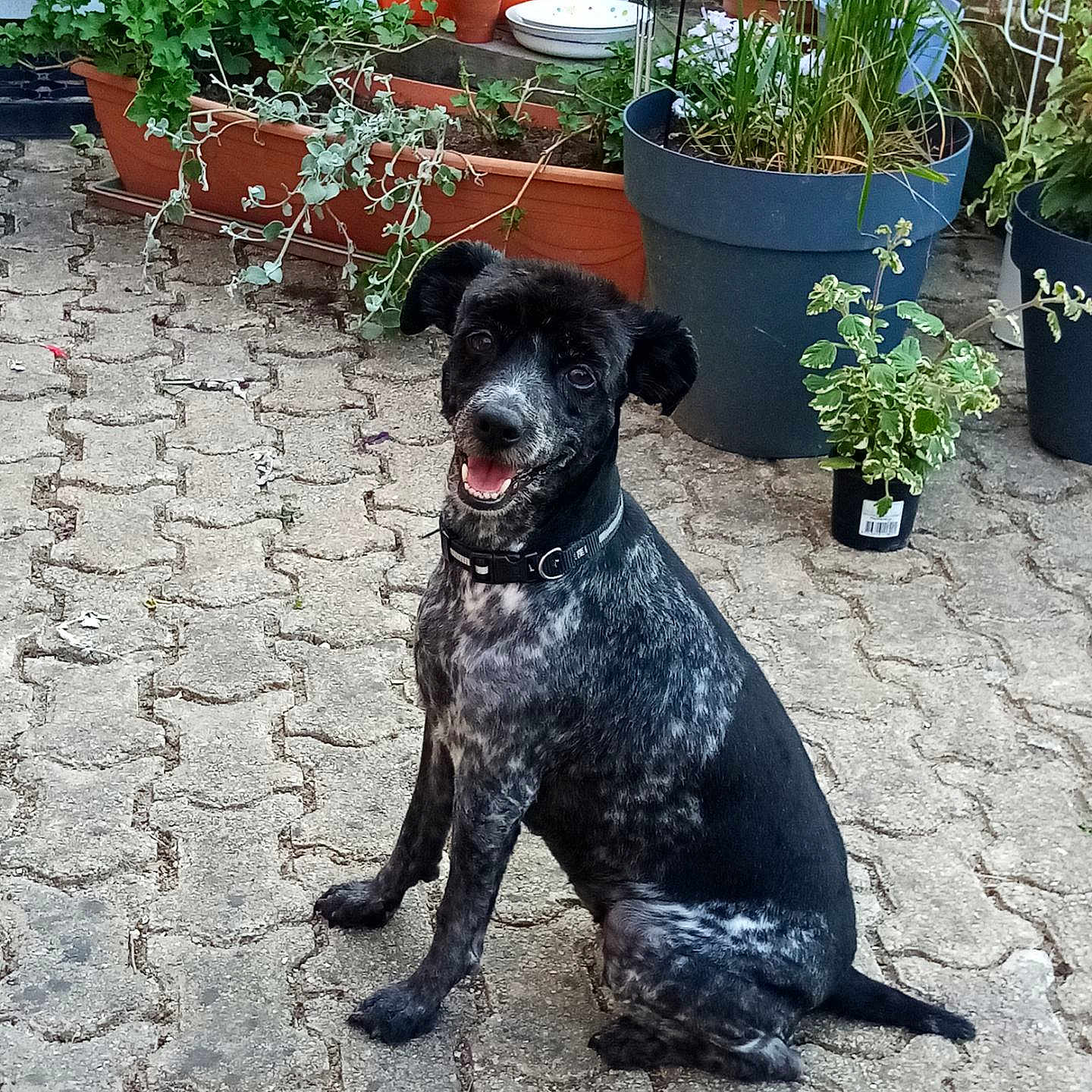 Ruby