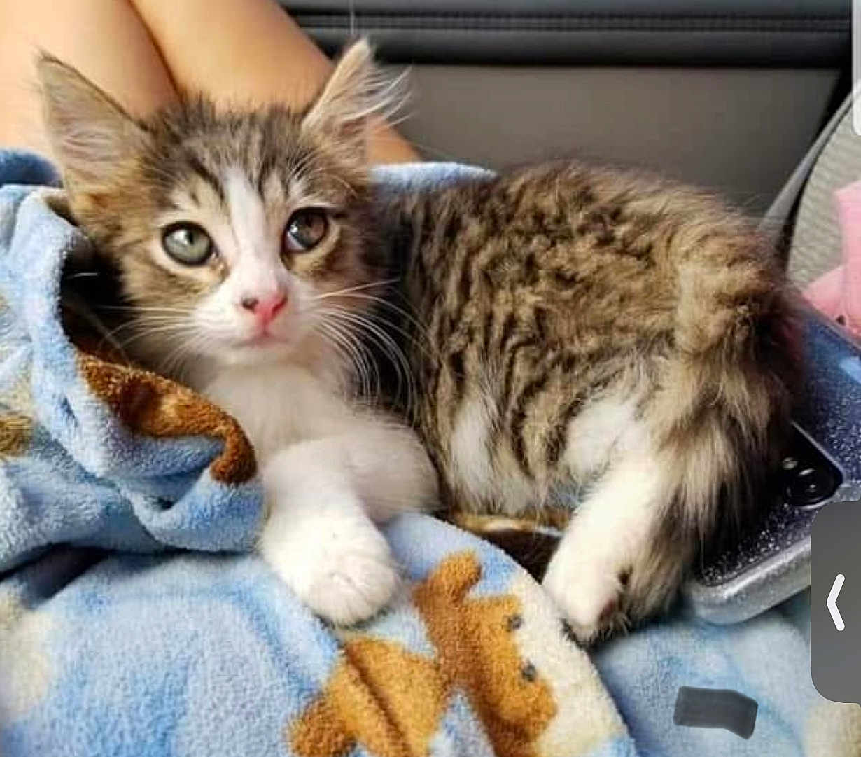 Penelope