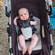 Dustin is registered to the contest to win money with this photo: baby, stroller, infant, child, outdoor, seatbelt, straps, leaves, feet, legs, face, person, clothing, sitting, nature, curious, expression, comfort, cushion, belt
