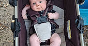 Dustin is registered to the contest to win money with this photo: baby, belt, child, clothing, comfort, curious, cushion, expression, face, feet, infant, leaves, legs, nature, outdoor, person, seatbelt, sitting, straps, stroller