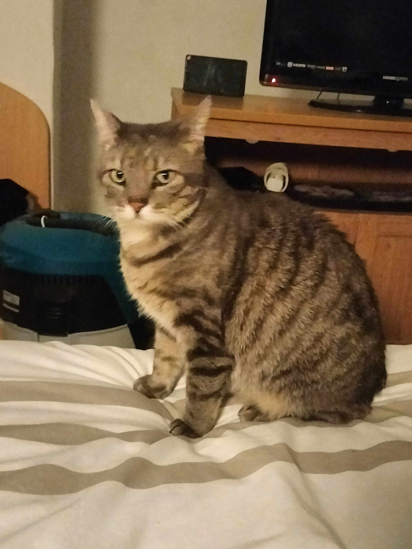 Poupette