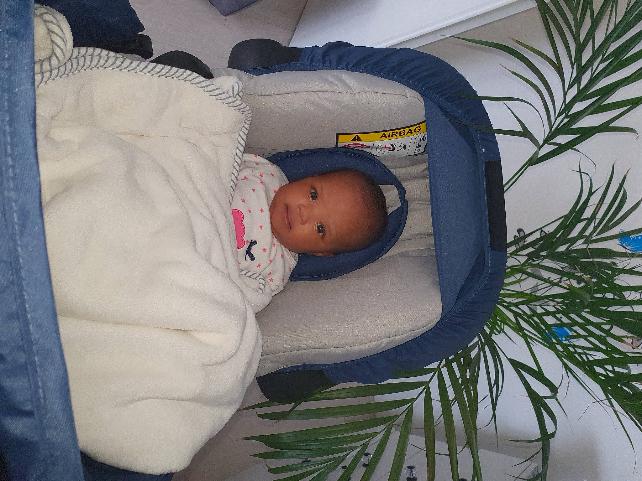 Aliyah a rejoint le concours — aidez-le/la à gagner de superbes lots ! baby, baby_products, baby_safety, baby_sleeping, baby_toddler_clothing, child, comfort, conifer, event, evergreen, grass, hat, linens, nap, person, plant, room, shortstraw_pine, toddler, tree