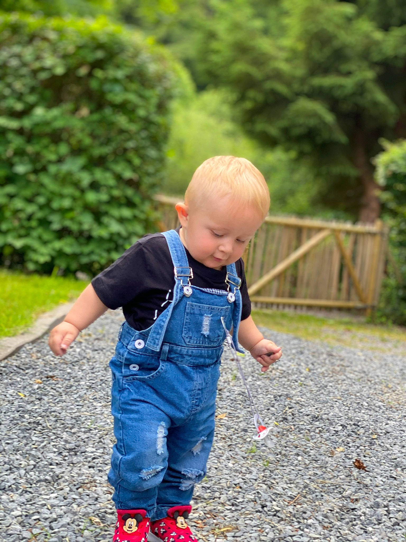 Tyméo participe au concours pour gagner de l'argent avec cette photo : baby, baby_toddler_clothing, child, denim, electric_blue, fun, garden, grass, hand, happy, human_body, leaf, leisure, pattern, people_in_nature, person, plant, recreation, sleeve, toddler