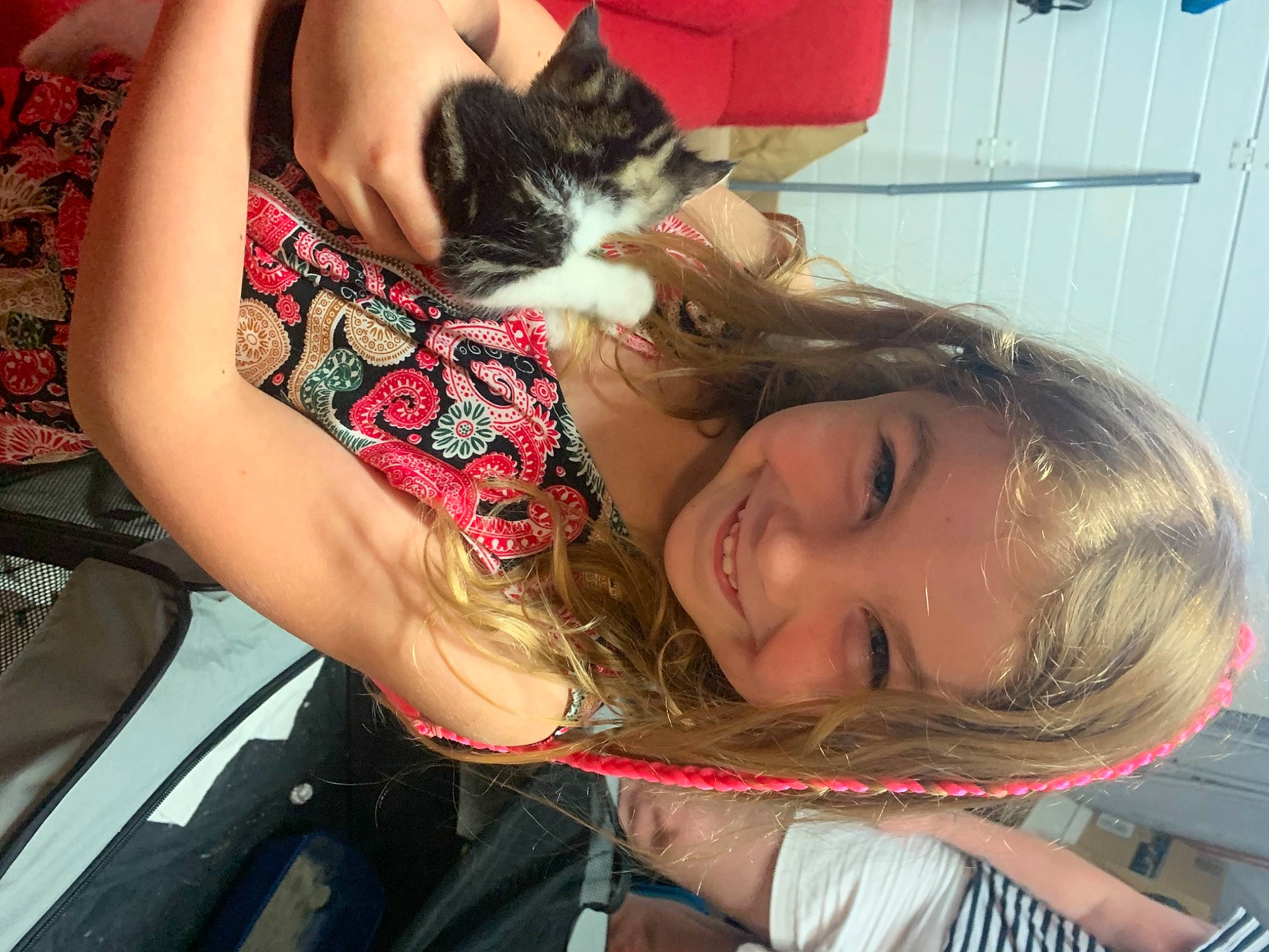 Lynes participe au concours pour gagner de l'argent avec cette photo : arm, black_hair, carnivore, cat, comfort, elbow, eyelash, felidae, hair, hand, happy, iris, joy, long_hair, mouth, neck, organ, person, shoulder, skin