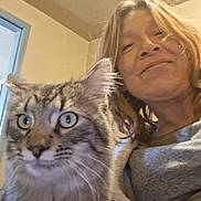 Will Rexius joined the competition — help win amazing prizes! animal, casual, cat, closeup, cozy, curious, domestic_animal, expression, eyes, face, feline, friendship, hair, indoor, mammal, person, pet, portrait, smile, tabby_cat