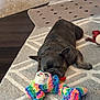 dog, french_bulldog, stuffed_toy, rainbow, colorful, rug, indoor, floor, pet, toy, paw_print_mat, resting, sleepy, cozy, animal, playful, home, carpet, cute, relaxed