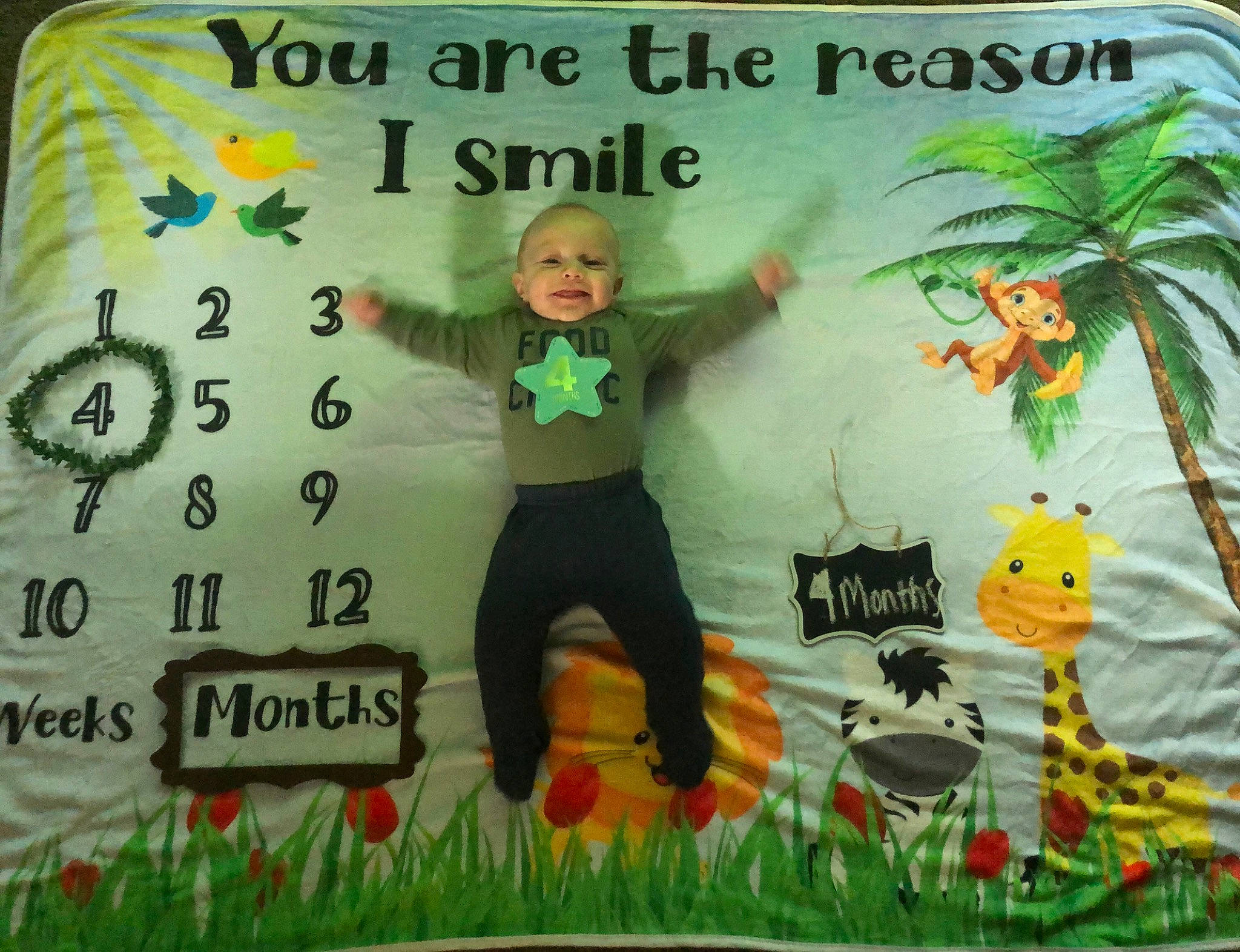 Blake is registered to the contest to win money with this photo: child, fiction, fictional_character, font, grass, green, happy, leaf, mammal, organism, pattern, person, plant, publication, sleeve, t_shirt, textile, toddler, tree, vertebrate