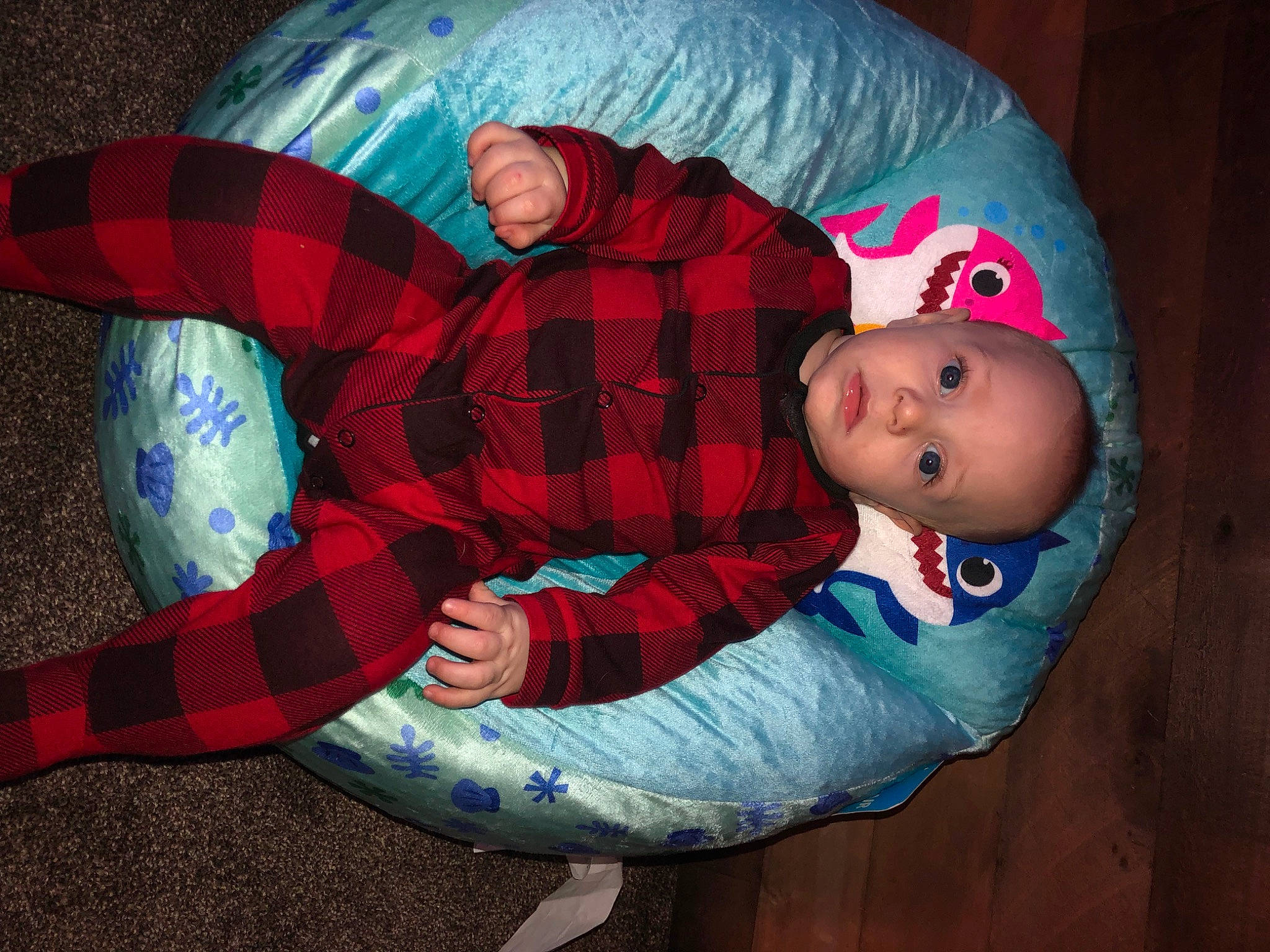Blake is registered to the contest to win money with this photo: baby, baby_toddler_clothing, child, comfort, cool, electric_blue, fun, human_body, lap, linens, mouth, nose, pattern, person, plaid, sleeve, tartan, textile, toddler, tree