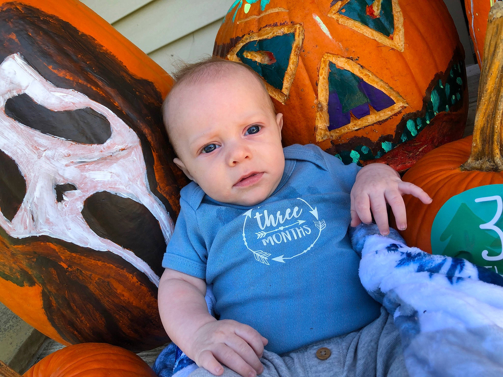 Blake is registered to the contest to win money with this photo: baby_toddler_clothing, calabaza, child, eye, facial_expression, fun, happy, head, human_body, iris, leaf, mammal, orange, organ, people, person, plant, pumpkin, toddler, winter_squash