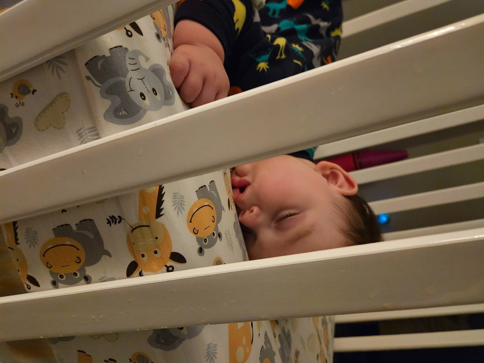 Alexander joined the competition — help win amazing prizes! baby, baby_products, baby_safety, baby_toddler_clothing, bathing, child, collection, comfort, cradle, major_appliance, person, plastic, room, shelf, shelving, toddler, toy