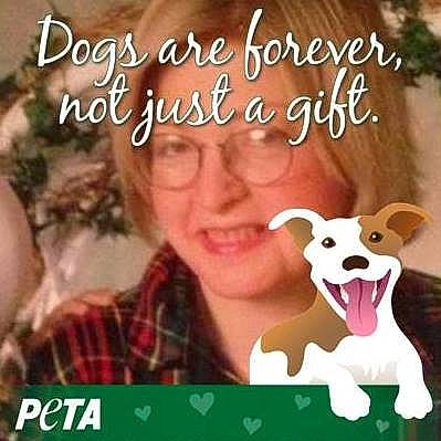 Trooper is registered to the contest to win money with this photo: adaptation, carnivore, companion_dog, cool, dog, dog_breed, ear, facial_expression, fawn, font, friendship, grass, hairstyle, happy, human, mammal, neck, organism, smile, snapshot