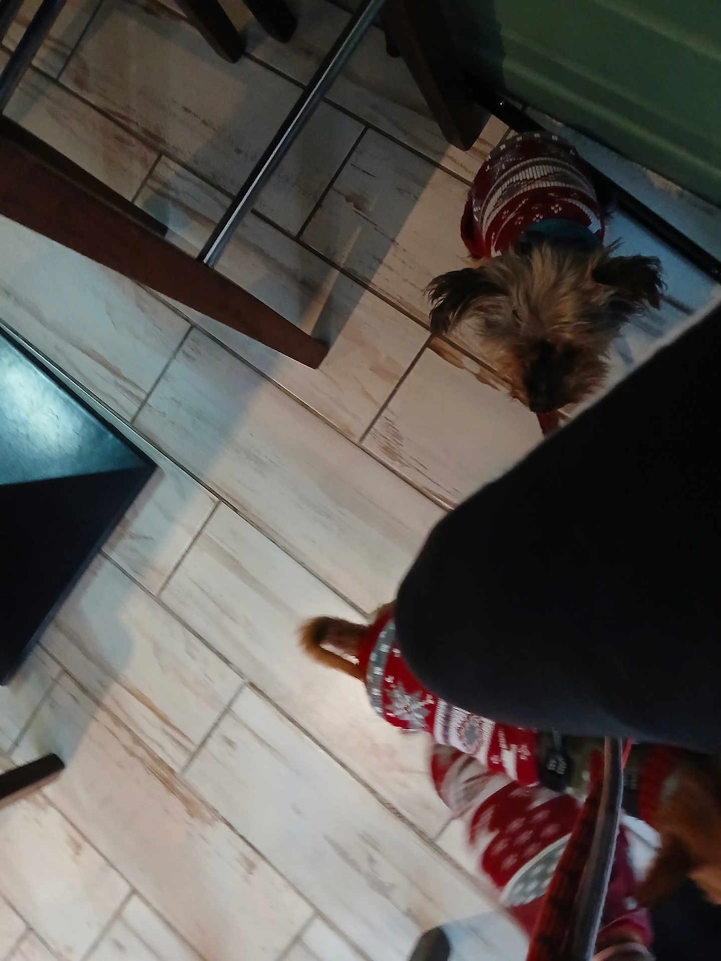 Balou