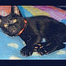 black_cat, kitten, pet, animal, feline, collar, yellow_eyes, paw, blanket, indoor, cute, lying_down, fur, whiskers, domestic_animal, resting, soft_texture, colorful_background, relaxed, young_cat