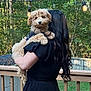 dog, person, outdoor, deck, wooden_rail, curly_fur, black_clothing, string_lights, trees, greenery, pet, holding, back_view, daylight, fence, cute, animal, nature, fur, friendly