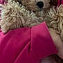 dog, puppy, curly_fur, fluffy, pet, pink_sweatshirt, snuggling, cozy, closeup, cute, animal, fur, soft, indoor, cuddle, mammal, domestic_animal, warm, resting, adorable