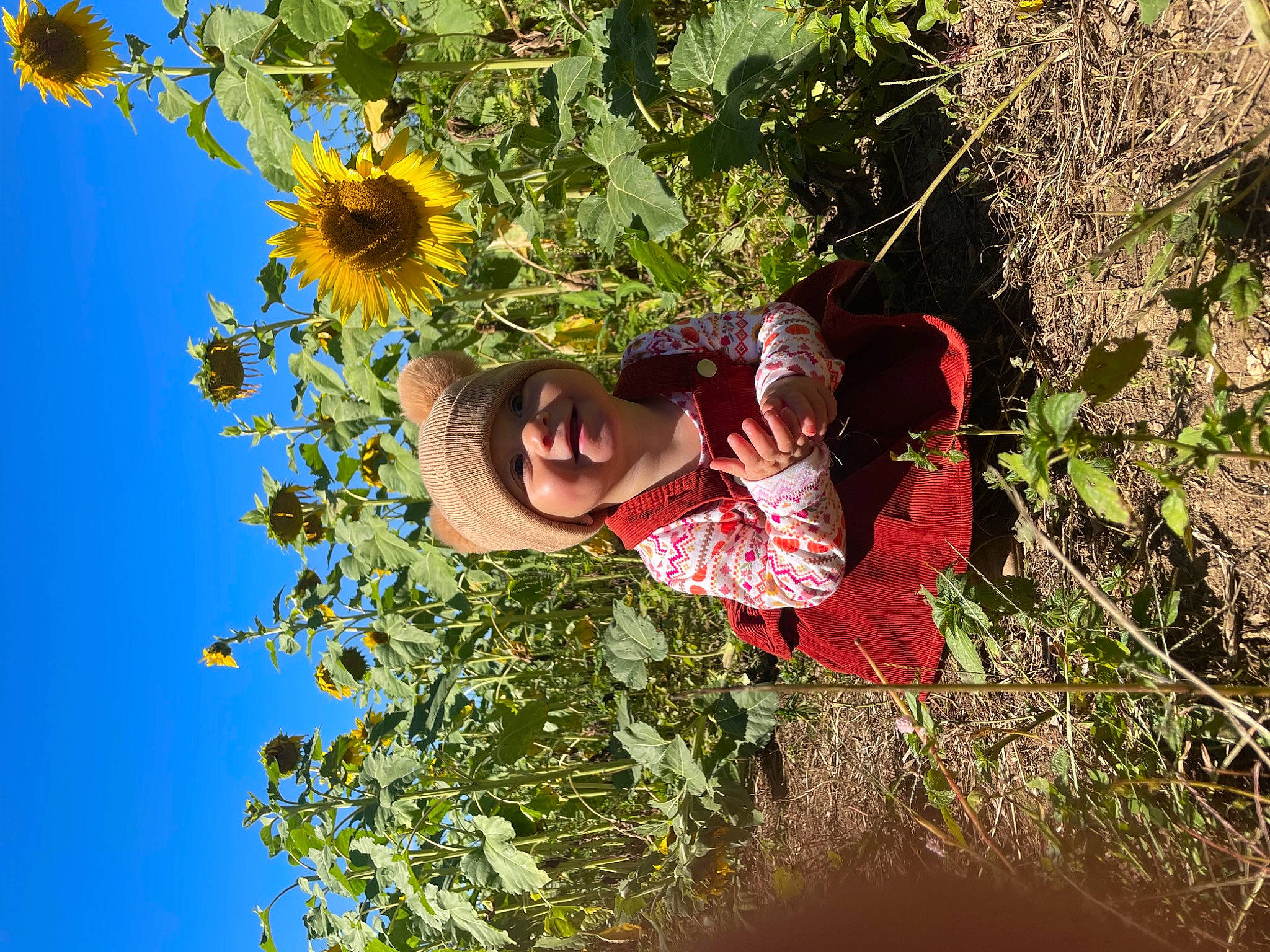 Emersyn joined the competition — help win amazing prizes! botany, branch, child, electric_blue, flower, flowering_plant, fun, grass, happy, hat, headwear, leaf, leisure, people_in_nature, person, plant, pole, sky, smile, sunflower