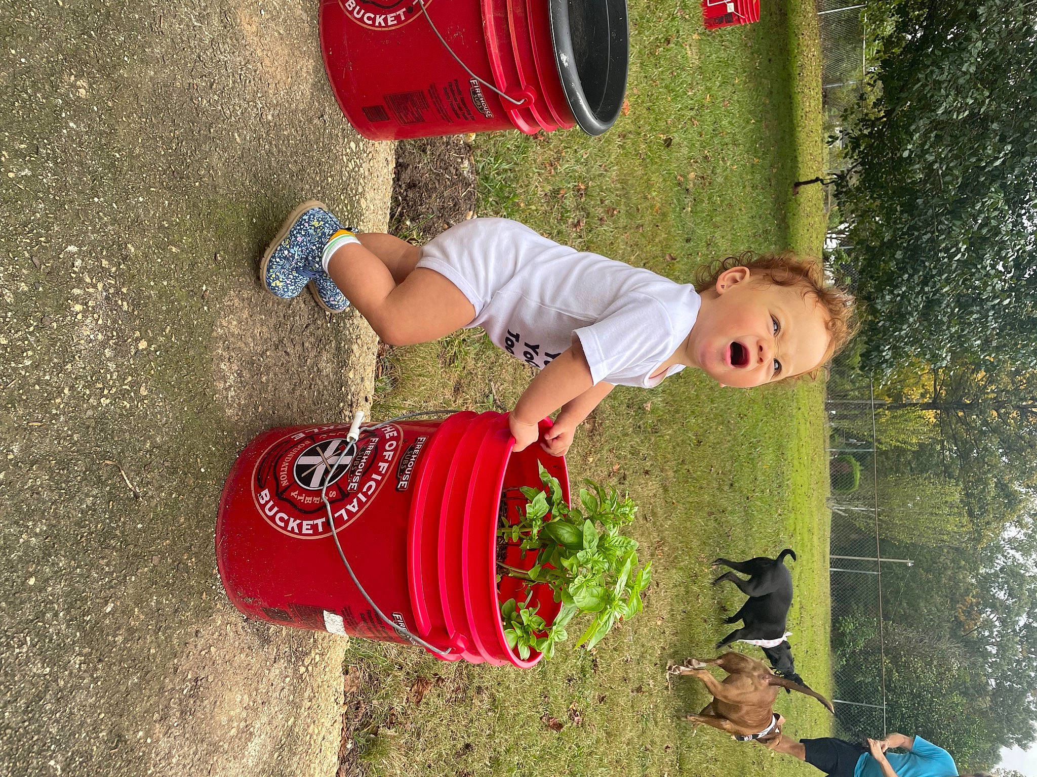 Emersyn joined the competition — help win amazing prizes! carmine, child, foot, fun, grass, green, happy, human_leg, leisure, magenta, people_in_nature, person, photograph, plant, recreation, red, sandal, smile, summer, thigh