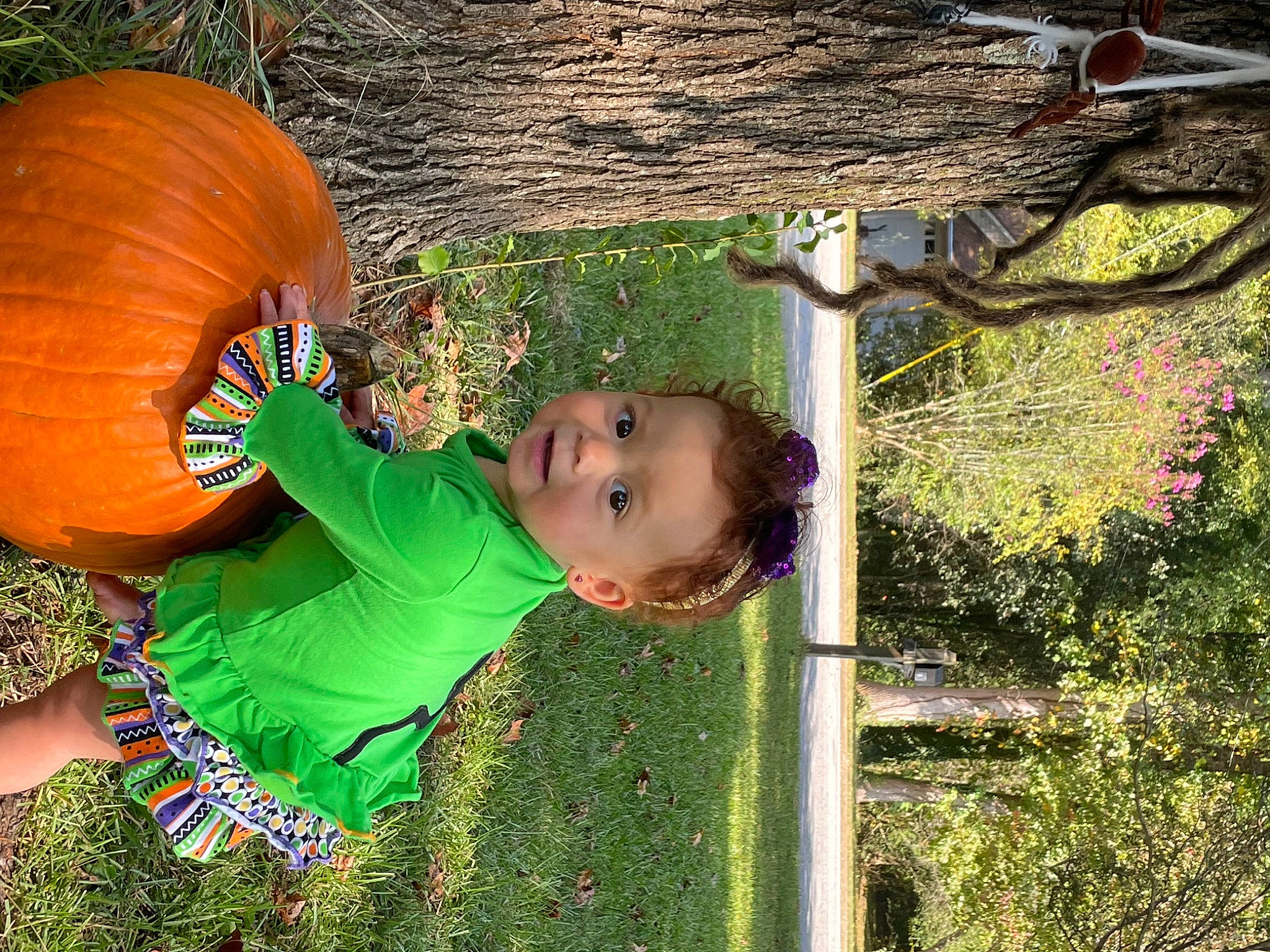 Emersyn is registered to the contest to win money with this photo: baby_toddler_clothing, calabaza, cucurbita, gourd, grass, green, happy, leaf, leisure, natural_foods, people_in_nature, person, plant, pumpkin, squash, tints_and_shades, toddler, tree, vegetable, winter_squash
