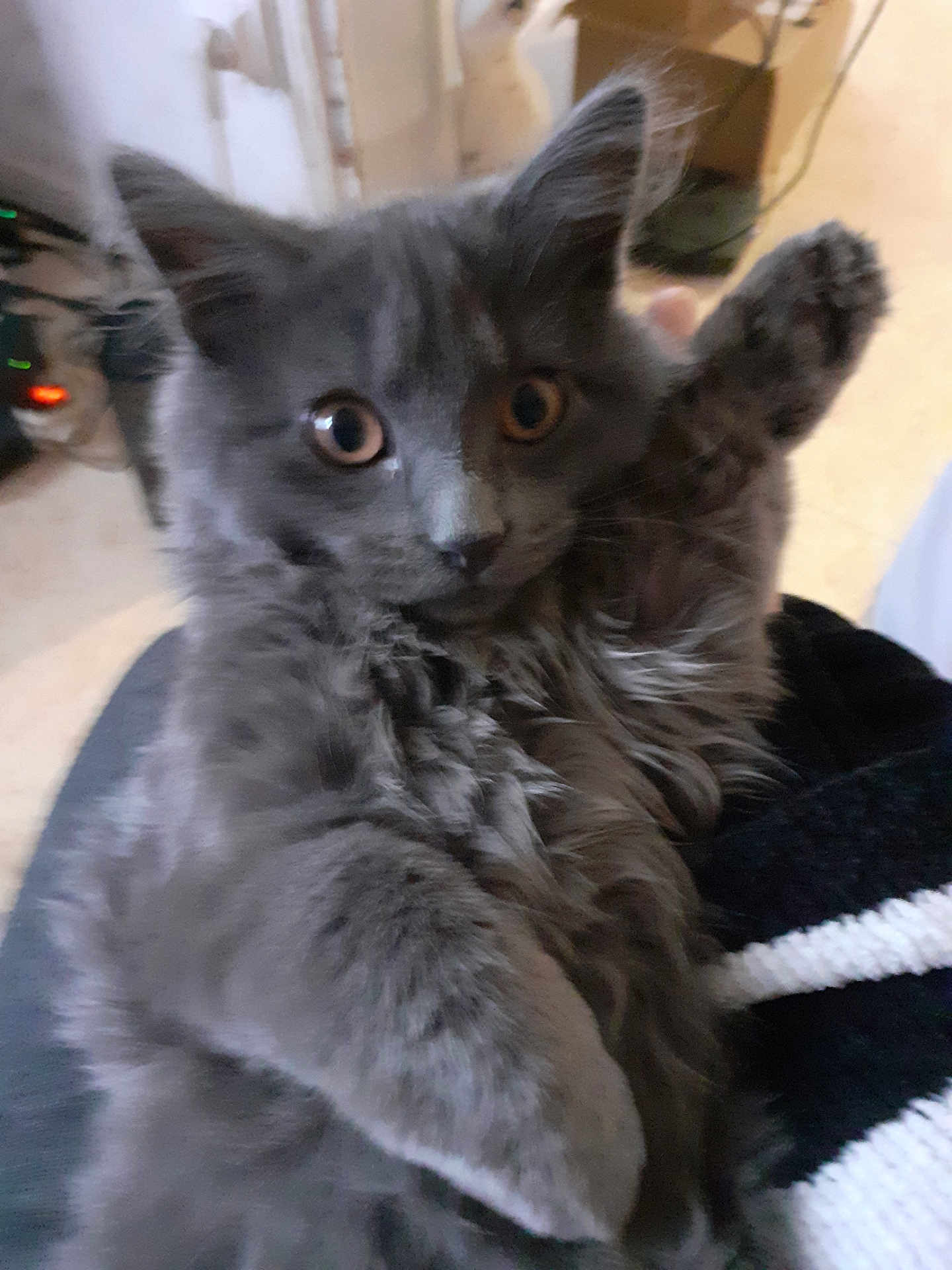 Athena
