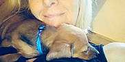 Windsor joined the competition — help win amazing prizes! black_shirt, blond_hair, closeup, collar, comfort, couch, dog, face, furniture, glasses, home, indoor, person, pet, puppy, relaxation, resting, sleeping, smile, woman