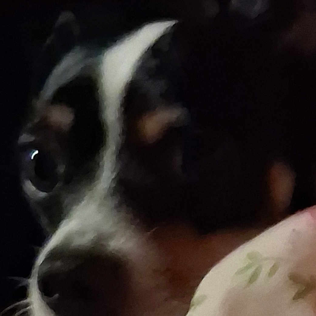 Rocky