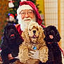 santa_claus, dog, cocker_spaniel, pet, animal, christmas, holiday, festive, beard, glasses, tongue_out, indoor, smiling, costume, red_hat, white_gloves, decorations, warm_lighting, portrait, cute
